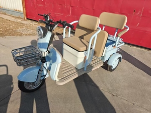 <span class=keywords><strong>Triciclo</strong></span> Eléctrico <span class=keywords><strong>de</strong></span> <span class=keywords><strong>Carga</strong></span> <span class=keywords><strong>Económico</strong></span> <span class=keywords><strong>de</strong></span> 3 Ruedas, Motor <span class=keywords><strong>de</strong></span> 500W/600W/750W, Controlador Inteligente, 48V/60V, Nuevo - Product Image 3