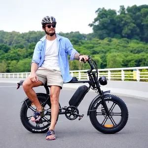 ओक्सी v8 डबल बैटरी इलेक्ट्रिक फैट टायर बाइक 250 चीन निर्माता 20*4.0 इंच 48v 15ah रिमूवेबल बैटरी