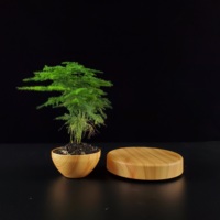 Décoration d'intérieur Art Déco, pots à fleurs en plastique flottants à lévitation magnétique, écologiques, en bois, pour bonsaï, vase de table pour mariages