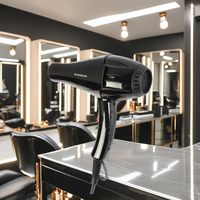 Sèche-cheveux professionnel 2200W avec moteur électrique AC, diffuseur, 2 vitesses chaud/froid, faible rayonnement, protection contre la surchauffe, en plastique, pour extérieur et hôtel