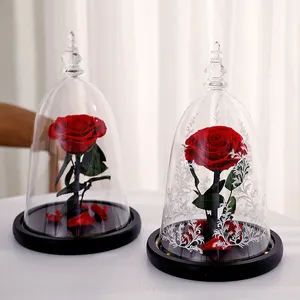 Beauty And The Beast Rose Real Preserved Rose Flower In Glass Dome With Led Light Gift For Valentine's Day