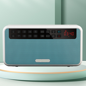 Édition Commerce Extérieur pour Haut-parleur avec Boîtier en Plastique Radio FM Numérique Portable - Product Image 6