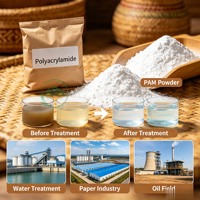 Polyacrylamide Cationique PAM Floculant 99% Agent Clarifiant pour le Traitement des Eaux Usées Industrielles
