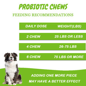 Complément alimentaire naturel probiotique en comprimés à mâcher pour chiens, favorise la santé digestive et immunitaire, absorption rapide, soins de santé pour animaux de compagnie sûrs - Product Image 4
