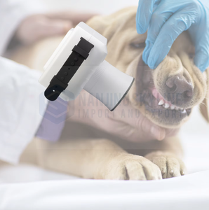 Sistema de Raio-X <span class=keywords><strong>Digital</strong></span> Portátil para Pequenos Animais, Equipamento de Cirurgia Veterinária Reutilizável, Seguro e Durável para Odontologia Canina - Product Image 6