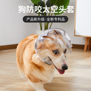Protector de mordeduras para perros, protector de cabeza ajustable y transpirable para perros, prevención del comportamiento destructivo en el hogar - Product Image 3