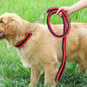 Guinzaglio per Cani Intrecciato Resistente con Collare a P Choke Martingale per Addestramento e Passeggiate - Product Image 4