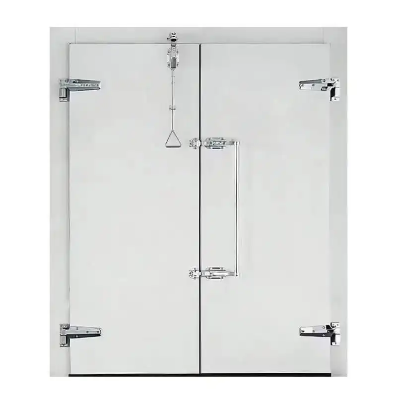Thermally Insulated Finished Hinged Door Other Door Type with Enhanced Temperature Control Feature