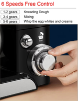 Robot de cuisine Shinechef, batteur sur socle planétaire, 5 L, acier inoxydable, 1000 W, design à tête inclinable, mélangeur électrique domestique OEM pour pâte/gâteau