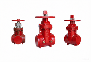Válvula de Compuerta NRS de Cuña Resiliente de 2-12 Pulgadas para la Industria Contra Incendios - Válvula de Acero Fundido Dúctil con Extremo Ranurado - Product Image 2