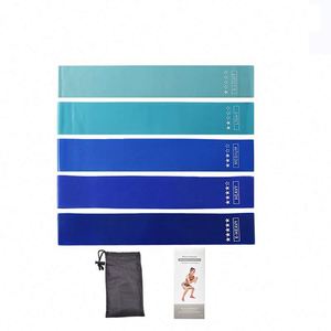 Nouvelles bandes de résistance pour le yoga, accessoires de fitness pour la maison, bandes élastiques pour l'entraînement, la gym, le Pilates et le sport, fabriquées par une usine BSCI - Product Image 4