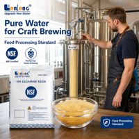 Résine échangeuse cationique premium à haute capacité, à base de formiate de sodium, pour la production de bière artisanale et la transformation alimentaire