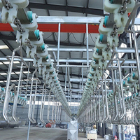 KBT Abattoir de poulets automatique complet Abattoir de poulets Ligne d'abattage de volaille pour les industries d'abattoir