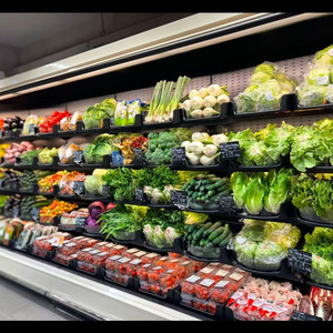DOLADISPLAY - Exhibidor de Frutas y Verduras Curvo, Contenedor Refrigerado para Productos Frescos, Bandejas de Plástico Negro Ventiladas - Product Image 1