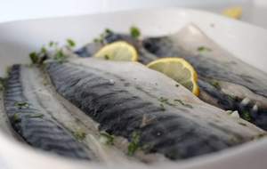 Caballa En Conserva En Ayua Y <span class=keywords><strong>Sal</strong></span> De Alta Calidad Fabrica Directa a Sudamerica - Product Image 4