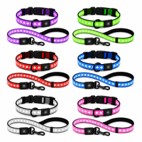 Ensemble collier et laisse pour chien en silicone moulé 3D rechargeable avec LED et fibres optiques, 14 modes d'éclairage, double charge Type-C