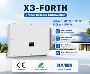 <span class=keywords><strong>Inversor</strong></span> de Energía Solar Híbrido de 110kW 120kW <span class=keywords><strong>SolaX</strong></span> X3-FORTH 12MPPT, <span class=keywords><strong>Inversor</strong></span> de Cadena con Función Inteligente de Operación y Mantenimiento (O&M) y Función SVG, <span class=keywords><strong>Inversor</strong></span> Conectado a la Red - Product Image 1
