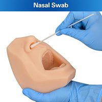 Modelo de Entrenamiento para Pruebas de Toma de Muestras de Garganta, Simulador de Recolección de Muestras, Muestra de Saliva Oral, Acupuntura