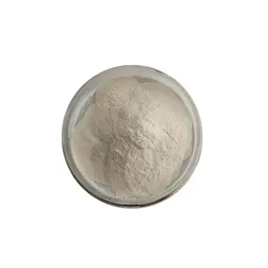 General E415 Thickener And Emulsifier For Food Grade Xanthan Gum Organic Xanthan Gum Xanthan Gum 40 Mesh Industrial