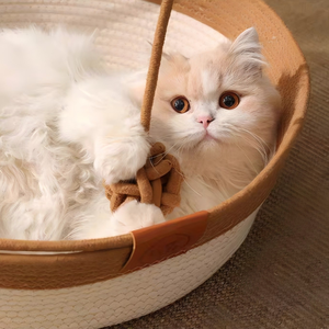 Geflochtenes Rattan-Katzenbett, geeignet für alle Jahreszeiten, Hundebett aus grobem Hanf, Katzenschlafmatte, Katzenkratzbrett, Haustierbedarf - Product Image 2