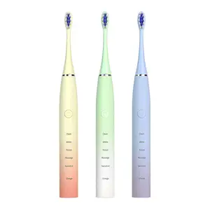 2024 Private Label Toothbrush Whitening Adult Electric Toothbrush Intelligent Sonic Electric Toothbrush With Replacement Heads