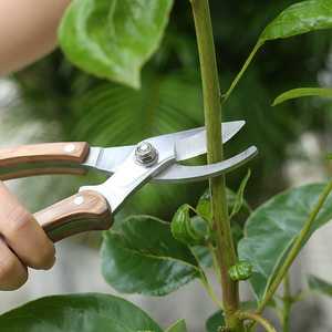 Garden Pruning Shears 20-30 Mm Bypass For Fruit <b>Trees</b> And <b>Branches</b> Home Use - Product Image 1