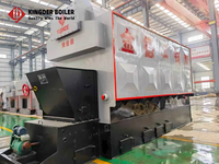 Boiler Uap Grate Reciprocating Biomassa DZW 4Ton/jam Pabrik Asli, Boiler Berbahan Bakar Serpihan Kayu dan Kulit Kelapa untuk Industri Makanan dan Tekstil