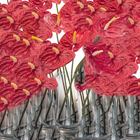 Groothandel Kunstbloemen Enkelstam Latex Flamingo Bloem Kunstbloemen voor Bruiloft Wegdecoratie