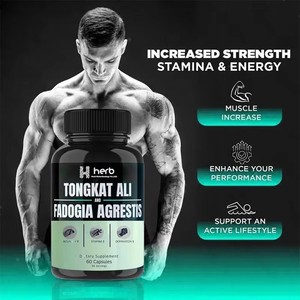 Cápsulas de Tongkat Ali de Marca Privada OEM/ODM para Mejorar la Energía y el Sistema Inmunológico Masculino, Cápsulas de Tongkat Ali para el Control de la Energía - Product Image 4