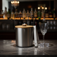 Seau à glace en métal et acier inoxydable Cubos de hielo
