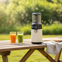 Kwalitatief hoogwaardige roestvrijstalen elektrische slowjuicer voor citrusvruchten
