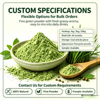 Poudre d'herbe d'orge biologique pure, poudre de jus d'herbe d'orge, boisson nutritionnelle enrichie