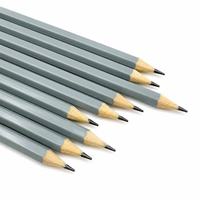 Crayons à dessin professionnels FLOWood, 12 crayons HB, mine en graphite de 2 mm, pack portable pour artistes, croquis et écriture scolaire