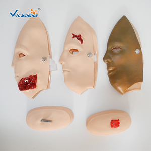 <span class=keywords><strong>Kit</strong></span> de simulation de plaies traumatiques portable 16 pièces pour amputation ou fracture ouverte, pour laboratoire de compétences infirmières CE ISO ROHS CNAS - Product Image 3