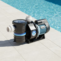 Pompe à eau électrique pour piscine EMAUX SB20 2HP, haute pression, filtres pour piscine 2HP disponibles, accessoires pour piscine