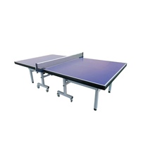 Tennis de Table d'intérieur, Table de Tennis, qualité supérieure, 1 pièce