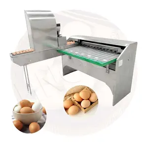HNOC Mini machine automatique à trier et à laver les œufs sur table avec bougies propres Niveleuse d'œufs Philippines