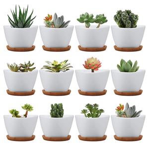 Vasi per Piante Grasse e Cactus, Piccoli Vasi per Fiori con Drenaggio, Vasi in Ceramica con Vassoio in Bambù per Giardinaggio - Product Image 1