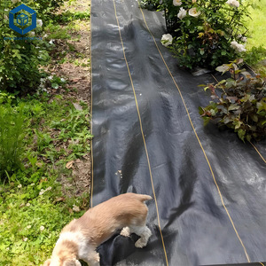 Sợi polyester 600g vải địa kỹ thuật không dệt hiệu suất cao cho kỹ thuật dân dụng - Product Image 5