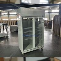 Congélateur commercial à double porte vitrée, refroidissement par air, dégivrage automatique, éclairage LED, 800L, pour boutique de chocolat