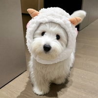 Chapeau pour chat, petit couvre-tête en laine pour animaux de compagnie, décoration pour petit chien, chapeau mignon en forme de mouton, accessoire magique pour la photographie