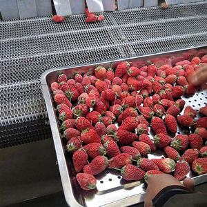 Máquina de Envasado en Línea para Frutas y Verduras Congeladas, para Producción de Guisantes Congelados, Acero Inoxidable 304, Automática, Capacidad de 300 kg/h - Product Image 2