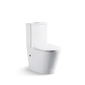 Cuvette de toilette en céramique, articles hygiéniques, pour salle de bains, en porcelaine, avec piège de lavage des WC, 2 pièces