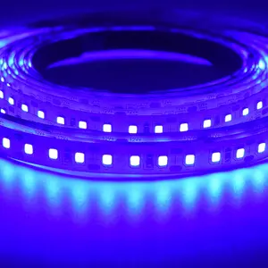Antiseptik mor LED şeritler 365nm 395nm UV LED şerit ışık 12V 24V UVA UVC ultraviyole LED şerit 2835 UV LED bant