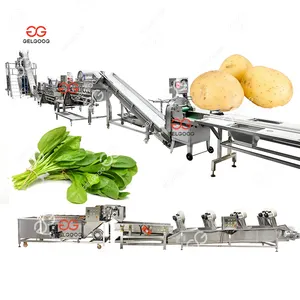 Mesin pembersih kentang dan mesin pencuci mesin pembersih lobak industri Model Drum mesin pembersih sayuran akar untuk pertanian