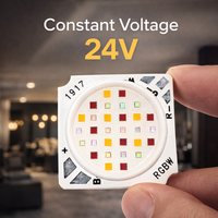 Nouveauté : Module LED COB 24W 1500-2500LM à tension constante 24V RGBW haute puissance avec CCT 3000-6500K pour éclairage commercial