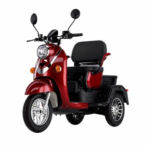 Vente directe usine – Nouveau tricycle passager élégant et personnalisable à cadre en acier, scooter électrique à trois roues et moto de rue - Product Image 1