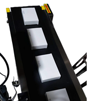 Máquina de codificación de lotes de inyección de tinta en línea/en línea Impresora de inyección de tinta con riel de guía de alimentación de transportador personalizado para caja de cosméticos Cartón