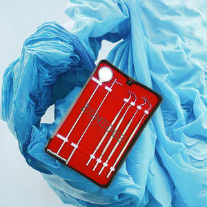 Kit de Limpieza Dental Manual, Juego de Instrumentos de Limpieza Dental Veterinaria, Escaladores de Acero Inoxidable, Espejo, Explorador, CALIDAD A+++ - Product Image 2