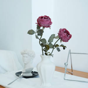 批发天然干玫瑰花束保鲜花，用于家庭室内外装饰 - Product Image 2